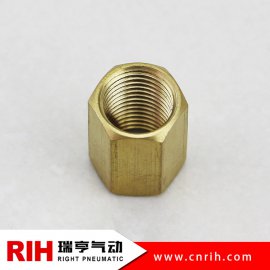 BF-內(nèi)絲銅接頭